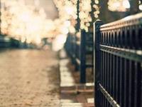 金牛座最克制哪个星座