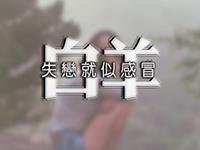 Julia Chen白羊座2017年7月运势