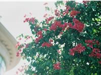 塔罗右手本周运势（6.26-7.2）