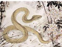 古易方2017年7月生肖蛇运程