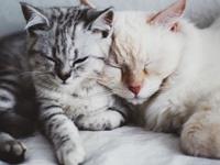 测你能拥有完美的婚姻吗