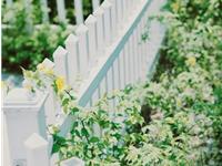 Pandora占星小巫本周塔罗运势（7.3-7.9）