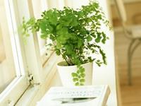 金牛座讨厌一个人的方式