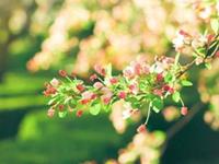 处女座讨厌一个人的方式