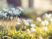 当你发给巨蟹座前任“问你个问题”