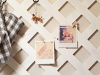 巨蟹座会有恻隐之心吗