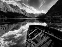 脑袋秀逗了，才会请心理咨询师去解决鬼梦