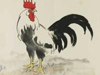 生肖鸡最受不了恋人什么行为