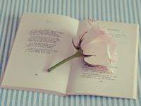 尴尬，聊天就像审犯人的星座