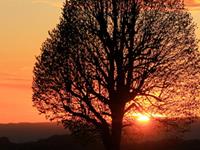 射手座最不可告人的秘密