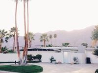 占卜现在的工作适合你吗