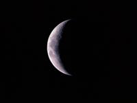 狮子座新月许愿指南 放胆做自己