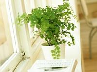 白羊座最让人鄙视的性格