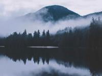 他做了个噩梦：梦见自己成了千万富翁！