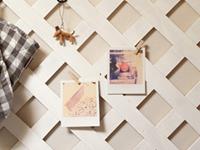 双子座最值得骄傲的事是什么