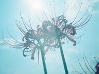 水瓶座最值得骄傲的事是什么