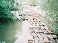 YAO叔十二星座2017年8月运势