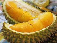 最喜欢吃榴莲的星座