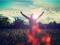 12星座到底有什么惊天大梦想