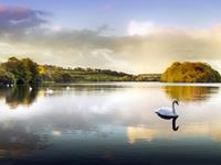 狮子座最讨厌别人管自己什么