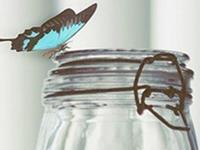 水瓶座寂寞时的表现