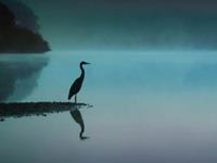 测你容易被朋友出卖吗