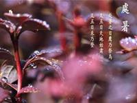 处暑之后福泽绵长的三大生肖