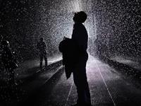 12星座总是背什么黑锅