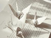 浮图塔2017年9月份生肖牛运程