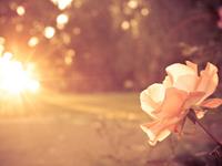 白羊座讨厌和哪个星座做朋友