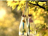 双鱼座的吵架开场白