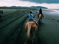 年底前你还有机会恋爱吗