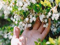 寂多蔓生2017年9月水瓶座运势