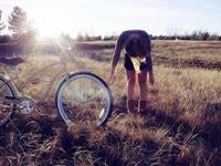 不向他人求助，也不想被别人麻烦的星座