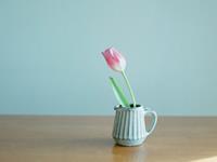 南烛2017年9月星座财富运势