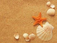 双子座脸上写着哪两个字