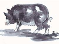 1947年属猪的人2019年运势及运程大全解析