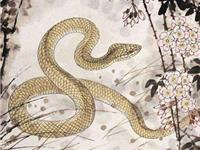 1953年属蛇的人2019年运势及运程大全解析