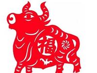 1973年属牛的人2019年运势及运程大全解析