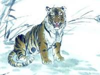 1986年属虎的人2019年运势及运程大全解析