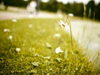 巨蟹座分手要犹豫多久