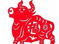 2009年属牛的人2019年运势及运程大全解析