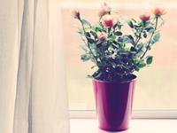 双子座这样处事说明已经长大了