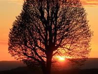 天秤座这样处事说明已经长大了