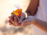 狮子座有哪些爱情禁忌