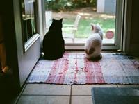 不管跟什么人都能相处得很好的星座