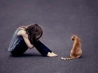 盘点：容易放弃追求的星座