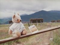 双子座眼里的无价之宝是