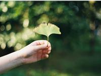 Pandora占星小巫本周塔罗运势（10.2-10.8）