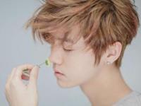 星座：鹿晗和关晓彤搭不搭